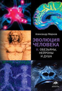 Эволюция человека. Кн. 2. Обезьяны, нейроны и душа - Александр Марков - ebook