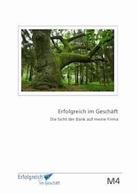 Modul 4: Die Sicht der Bank auf meine Firma - Martina Caspary - ebook
