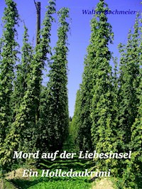 Mord auf der Liebesinsel - Walter Bachmeier - ebook