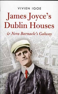 James Joyce's Dublin Houses - Vivian Igoe - ebook