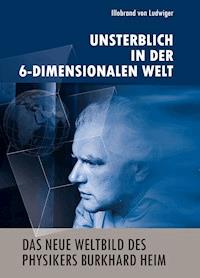 Das neue Weltbild des Physikers Burkhard Heim - Illobrand von Ludwiger - ebook