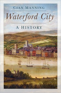 Waterford City - Cian Manning - ebook