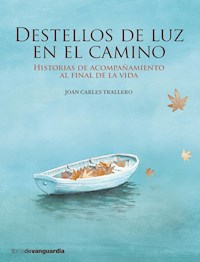 Destellos de luz en el camino - Joan Carles Trallero - ebook