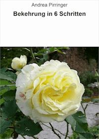 Bekehrung in 6 Schritten - Andrea Pirringer - ebook