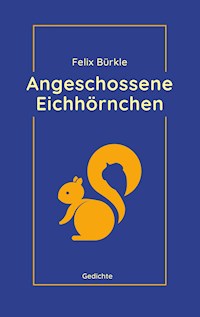 Angeschossene Eichhörnchen - Felix Bürkle - ebook