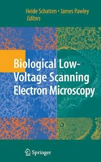 Biological Low-Voltage Scanning Electron Microscopy -  - ebook