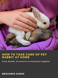 How to Take Care of Pet Rabbit at Home: Food, Health, Accessories & Emergency Supplies - Benjamin James - ebook