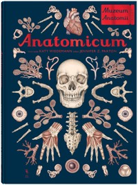 Anatomicum. Muzeum Anatomii - Jennifer Paxton - książka