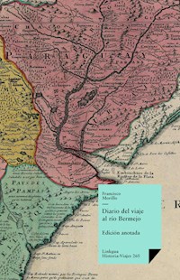 Diario del viaje al río Bermejo - Francisco Morillo - ebook