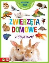 Wszystko wiem! Zwierzęta domowe - zbiorowa praca - książka