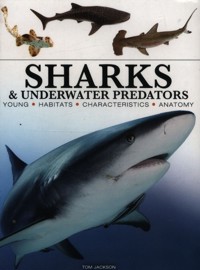 Sharks & Underwater Predators [mini edition] - Jackson Tom - książka