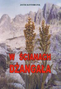 W ścianach Dżangała - Jacek Kantorczyk - książka