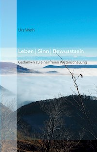 Leben Sinn Bewusstsein - Urs Weth - ebook