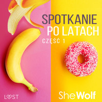Spotkanie po latach 1 – opowiadanie erotyczne - – Shewolf - ebook + audiobook