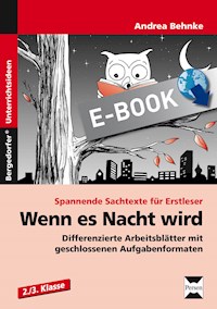 Wenn es Nacht wird - Andrea Behnke - ebook