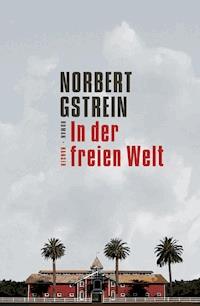 In der freien Welt - Gstrein Norbert - ebook