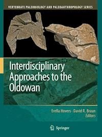 Interdisciplinary Approaches to the Oldowan - - ebook
