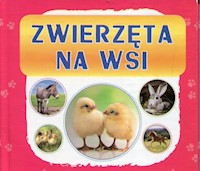 Zwierzęta na wsi harmonijka mała -  - książka