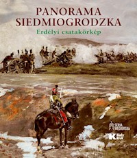 Panorama Siedmiogrodzka -  - książka