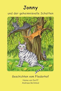 Jonny und der geheimnisvolle Schatten - Hanna von Dorff - ebook