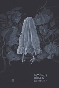 Poltergeist - Honek Urszula - książka