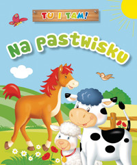Tu i tam! Na pastwisku - Anna Wiśniewska, Ala Hanna Murgrabia (ilustr.) - książka