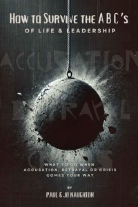 How To Survive The ABC's of Life and Leadership - Jo Naughton - ebook