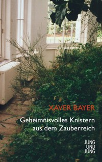 Geheimnisvolles Knistern aus dem Zauberreich - Xaver Bayer - ebook