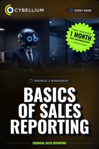 Basics of Sales Reporting - Cybellium - ebook