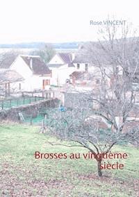 Brosses au vingtième siècle - Rose Vincent - ebook