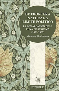 De frontera natural a límite político - Macarena Ríos Llaneza - ebook
