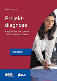 Projektdiagnose - Gero Lomnitz - ebook