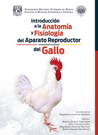 Introducción a la anatomía y fisiología del aparato reproductor del gallo - Magdalena Martínez  Escorcia - ebook