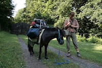 Notizen - Petra Nachbaur - ebook