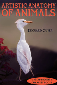 Artistic Anatomy of Animals - Édouard Cuyer - ebook