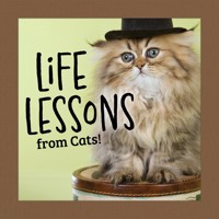 Life Lessons from Cats! - Grace Peterson - ebook