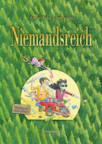 Niemandsreich - Anna-Birke Lindewind - ebook