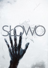 Słowo. Ilustrowane wydanie Nowego Testamentu -  - książka