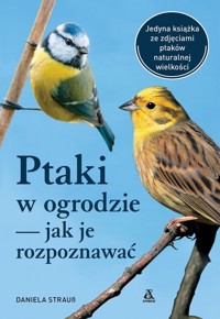 Ptaki w ogrodzie - jak je rozpoznawać - Strauß Daniela - książka