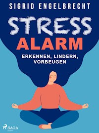 Stressalarm – Erkennen, lindern, vorbeugen - Sigrid Engelbrecht - ebook