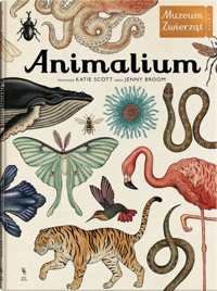 Animalium. Muzeum Zwierząt - Jenny Broom, Katie Scott - książka
