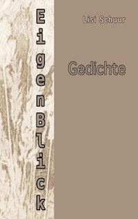EigenBlick - Lisi Schuur - ebook