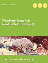 Die Meeresfauna von Norddeich (Ostfriesland) - Sven Gehrmann - ebook