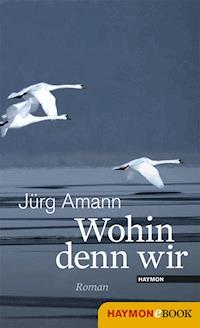 Wohin denn wir - Jürg Amann - ebook