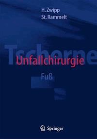 Tscherne Unfallchirurgie - Hans Zwipp - ebook