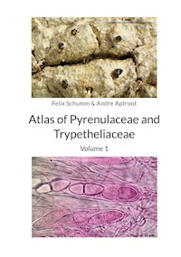 Atlas of Pyrenulaceae and Trypetheliaceae - Volume 1 - Felix Schumm - ebook