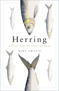 Herring - Mike Smylie - ebook