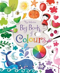 Big Book of Colours - Brooks Felicity - książka