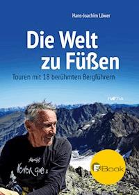 Die Welt zu Füßen - Hans-Joachim Löwer - ebook
