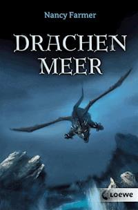 Drachenmeer - Nancy Farmer - ebook